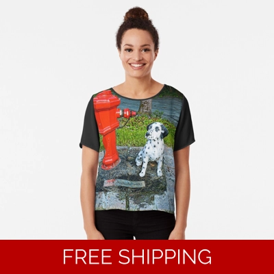 Le Studio Chiffon Top Rush Signals Monument Le Studio Chiffon Top Rush Signals Monument
